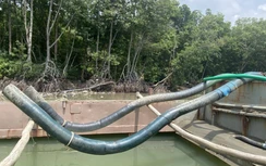 3 sà lan cắm "vòi bạch tuộc" khủng hút cát trộm ở vùng biển Cần Giờ