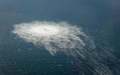 Nga tuyên bố lý do có thể không công nhận kết quả điều tra rò rỉ đường ống