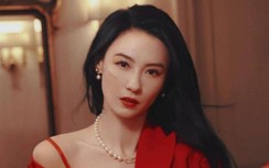 Trương Bá Chi tuổi 42: Kiếm bộn tiền, không thích đàn ông đẹp trai, giàu có