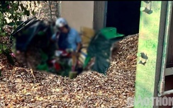 Phú Thọ: Phát hiện thi thể bị vùi lấp trong đống dăm gỗ do ô tô bị lật