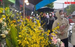 Video: Mặc thời tiết mưa lạnh, người dân vẫn nhộn nhịp mua hoa ngày 20/10