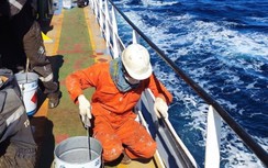 Tổ chức Hàng hải quốc tế đánh giá cao tiềm năng phát triển của Việt Nam