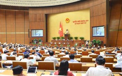 Hôm nay, Quốc hội thảo luận về việc thí điểm đấu giá biển số xe ô tô