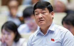 Bỏ chức danh thanh tra lĩnh vực thuế, hải quan sẽ thất thu hàng nghìn tỷ