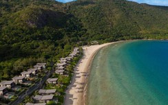 Thêm vụ “lùm xùm” chuyển đổi đất rừng làm dự án ở Bà Rịa - Vũng Tàu