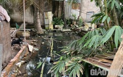 Sóc Trăng: Chủ bãi giữ xe ngang nhiên lấp kênh thủy lợi gây ngập úng