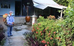 An Giang phát hiện 3.853 ổ bệnh sốt xuất huyết trong 9 tháng