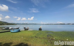 Quảng Ngãi hủy chủ trương làm điện mặt trời trên di sản đầm An Khê, vì sao?