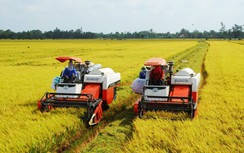 Chuyển đổi số để nông dân khu vực ĐBSCL thoát nghèo, làm giàu