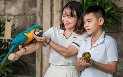 Show "Vũ điệu chim trời" lần đầu tiên có mặt ở Quảng Ninh