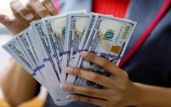 Tỷ giá USD hôm nay 30/10: Vẫn neo ở mức cao
