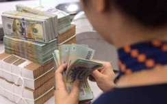 Tỷ giá USD hôm nay 1/11: Giật đà tăng giá