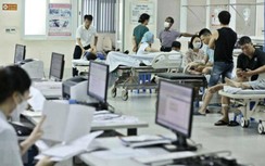 Nước dừa, sữa chua, lá đu đủ... tốt cho người mắc sốt xuất huyết