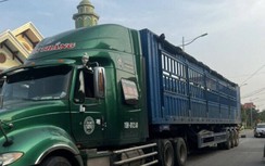 Quảng Ninh rà soát dây điện vượt đường sau phản ánh của Báo Giao thông