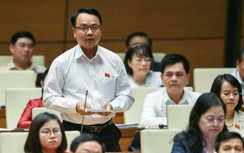 Đại biểu chất vấn vụ việc hình sự nhưng thanh tra không phát hiện sai phạm