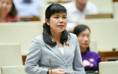 ĐBQH phản ánh chuyện "trên trải thảm, dưới trải đinh", Thủ tướng nói gì?