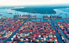 Cảng biển tiếp tục lãi lớn trong quý III/2022