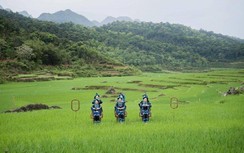 Phim an toàn bay sáng tạo, Vietnam Airlines lập cú đúp giải thưởng