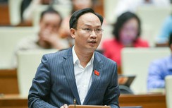 ĐBQH đề xuất thu thuế chuyển nhượng biển số xe ô tô trúng đấu giá