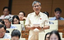 ĐBQH: Tham nhũng vặt như vòi bạch tuộc đeo đẳng làm xói mòn lòng tin