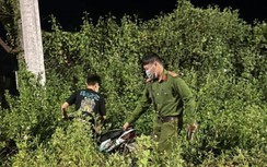 Bắc Giang: Xử lý nhóm trai bản lượn phố, kéo giảm TNGT ở phố núi