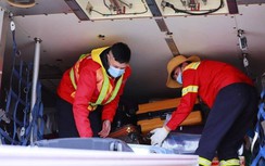 Nhu cầu đào tạo nhân lực hàng không tăng cao