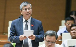 ĐBQH: Sửa đổi Luật cần chấm dứt kỷ nguyên nhà ống bất hợp lý