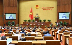 Người bạo lực gia đình sẽ phải chăm sóc cây xanh, làm sạch đường