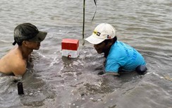 Đội nắng, lội ruộng cắm cọc GPMB cao tốc Châu Đốc - Cần Thơ - Sóc Trăng