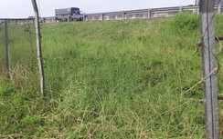 Nguy hiểm chết người từ nạn phá rào cao tốc TP.HCM - Trung Lương