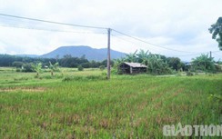 Nhiều nơi ở Hà Tĩnh về đích sớm giai đoạn 1 GPMB cao tốc Bắc - Nam