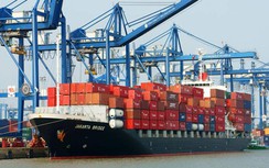 Phát triển đội tàu biển cỡ tàu nào hợp lý?