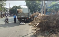 Hải Phòng đồng loạt kiểm tra công tác đảm bảo trật tự vỉa hè, lòng đường