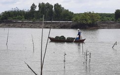 Vẫn chưa có câu trả lời cuối với các dự án cảng container ì ạch