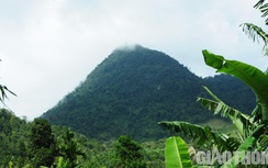 Vỡ mộng dự án được ví như "Bà Nà Hills" tại Quảng Ngãi