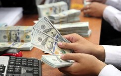 Tỷ giá USD hôm nay 20/11: Đạt đỉnh, liệu còn tăng?