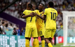 Thi đấu mờ nhạt, Qatar thua dễ Ecuador trong trận khai mạc World Cup
