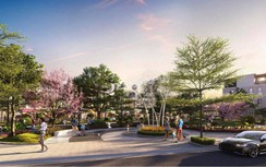 Thị trường biến động, phân khúc bất động sản nào là điểm sáng?