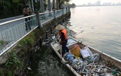 Cá chết trắng hồ Tây thời gian dài: Sẽ đánh bắt, giảm mật độ cá trong hồ