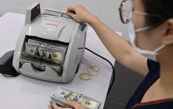 Tỷ giá USD hôm nay 22/11: Quay đầu giảm nhẹ