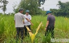 Quảng Bình: Xử lý thế nào 27 hộ có công trình cơi nới trên tuyến cao tốc?