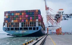 Cước giảm mạnh, vận tải biển lao đao