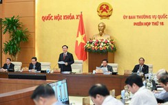 Ủy ban Thường vụ Quốc hội xem xét phê chuẩn miễn nhiệm, bổ nhiệm đại sứ