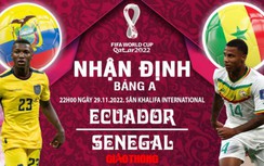 Dự đoán kết quả, nhận định Ecuador vs Senegal, bảng A World Cup 2022
