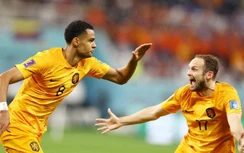 Mèo tiên tri dự đoán kết quả Hà Lan vs Qatar: Chủ nhà lại nếm "trái đắng"