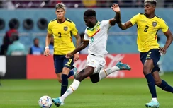 Đánh bại Ecuador, Senegal giành vé vào vòng 1/8 World Cup