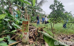 Chủ tịch Quảng Ngãi: Sẽ đảm bảo quyền lợi người dân nhường đất làm cao tốc