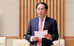 Ngoại giao vaccine giúp tiết kiệm cho ngân sách nhà nước hơn 900 triệu USD