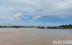 Nhiều phương tiện neo đậu họp chợ nổi Cái Răng chưa có đăng ký, đăng kiểm