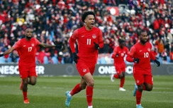Mèo tiên tri dự đoán kết quả Canada vs Ma Rốc: Bất ngờ lớn